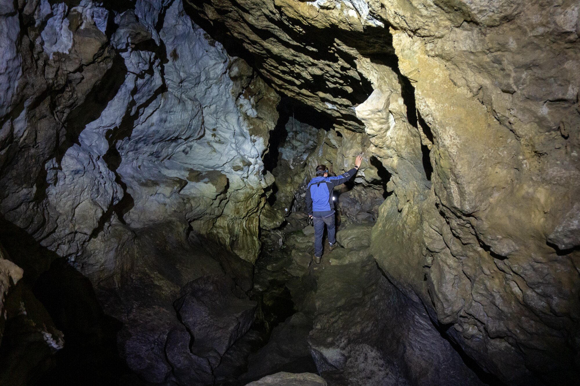 Inside a limestone chamber at Clifden Caves
