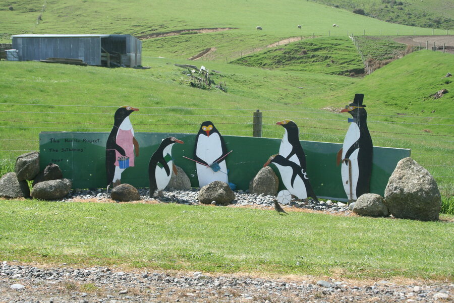 Hand-painted penguin cutouts in a paddock beside the road near Cosy Nook
