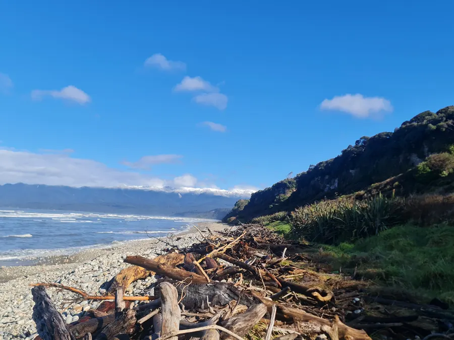 Driftwood piled at the top of the beach