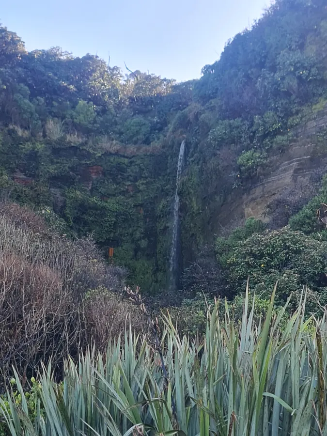 A waterfall dropping through the bush behind the beach