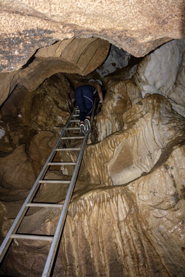 Climbing the ladder between chambers