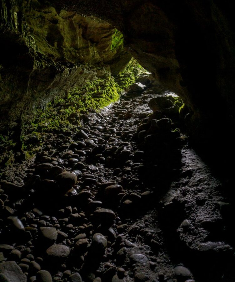 A mossy passage near the entrance