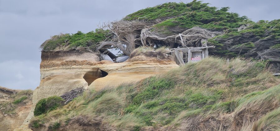 A wind-carved sandstone hollow and driftwood shelter tucked into the dunes