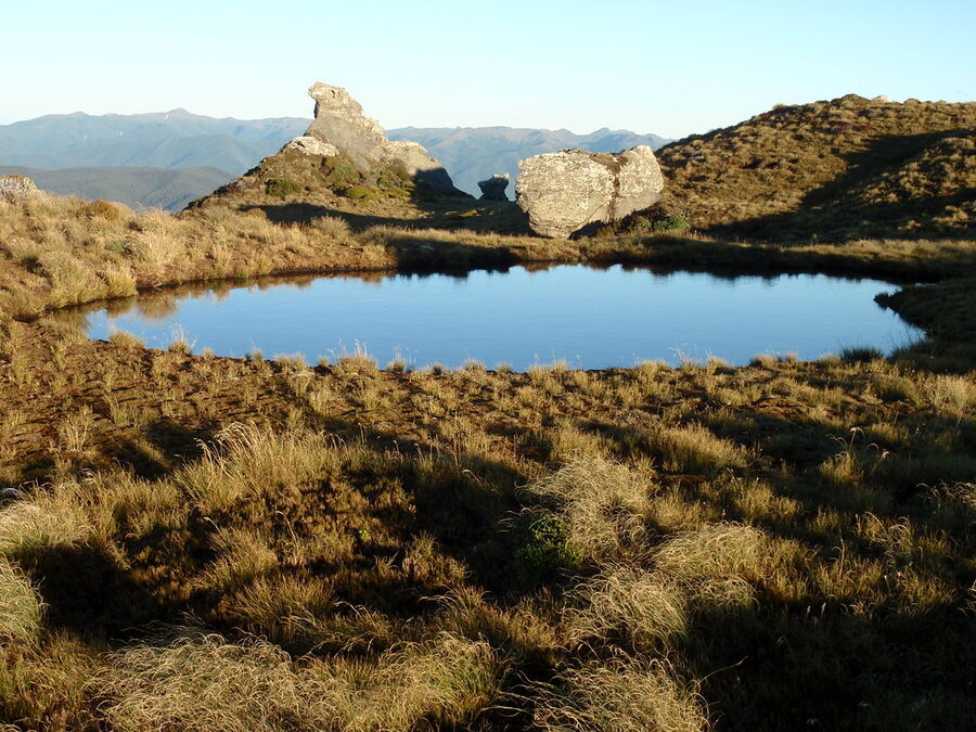 An alpine tarn catching the evening light on the tops