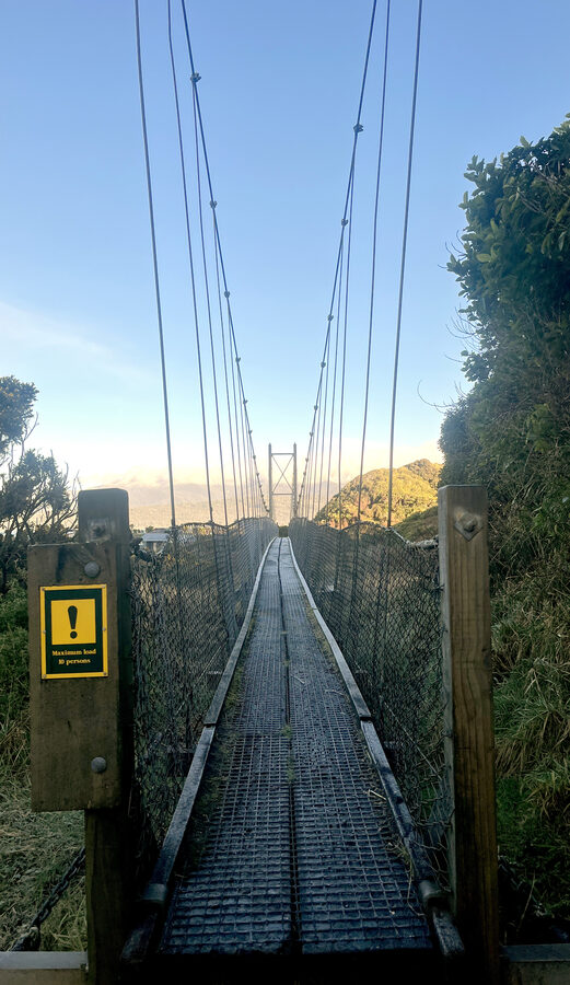 A cable swingbridge on the track, mountains beyond