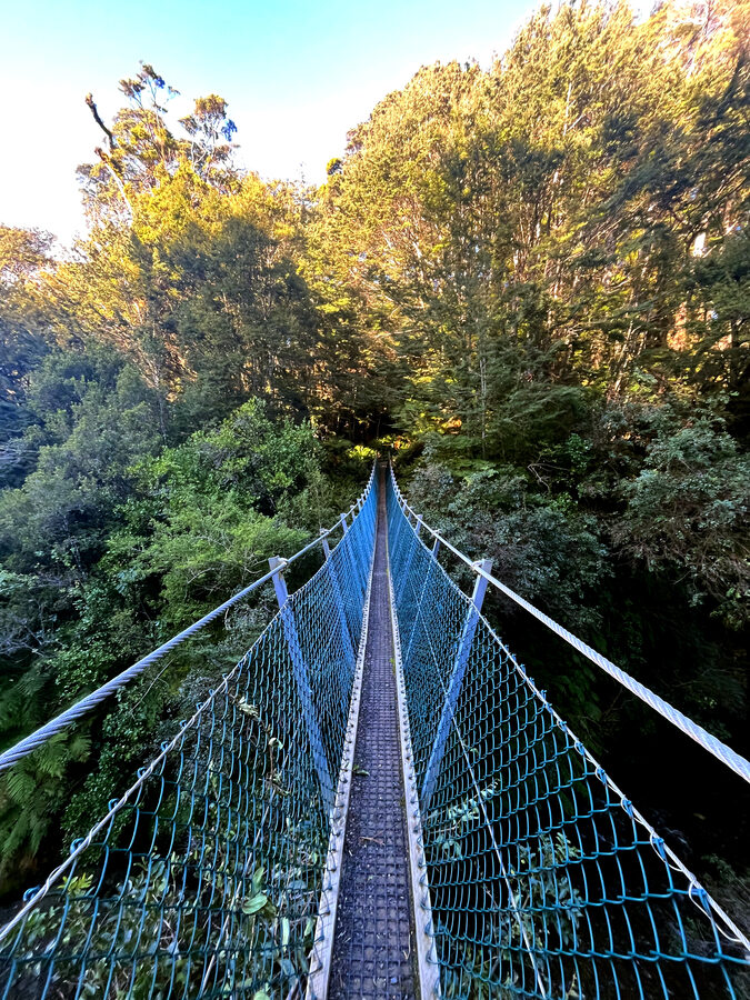 Crossing a swingbridge beneath the forest canopy