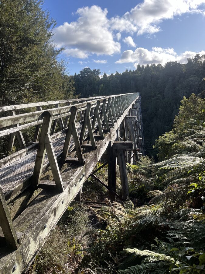The Percy Burn Viaduct's wooden trestle, seen from the forest below