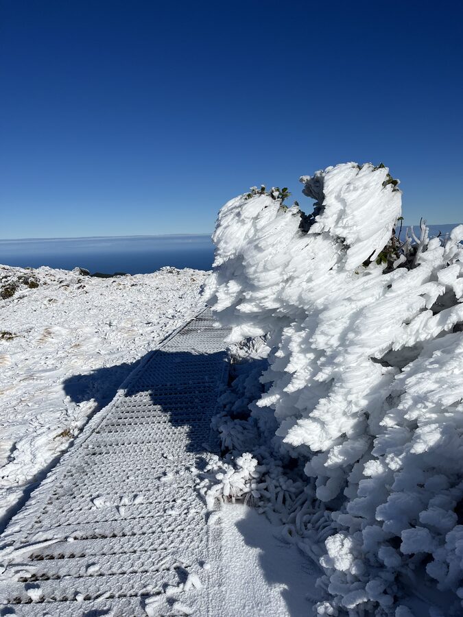 Rime ice feathering along the boardwalk rail, with the ocean beyond