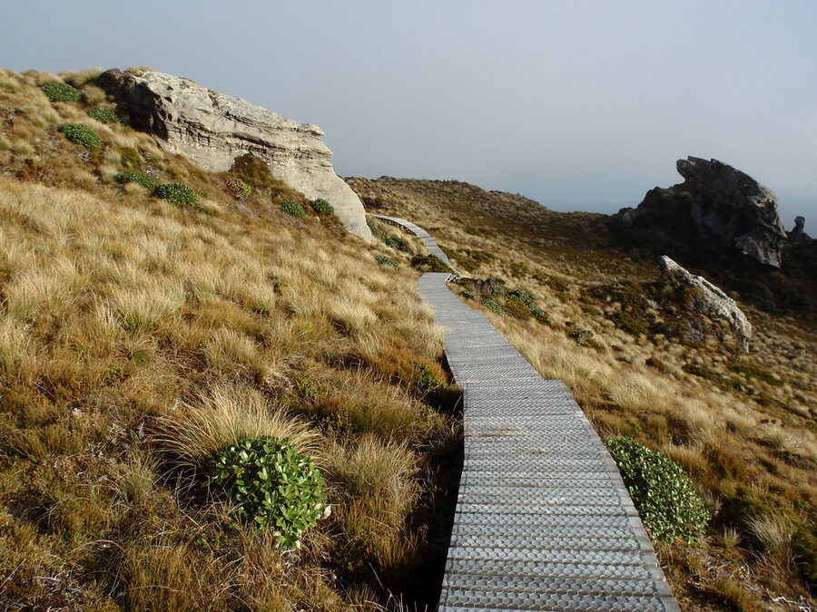 Boardwalk crossing the tussock tops toward a rocky tor