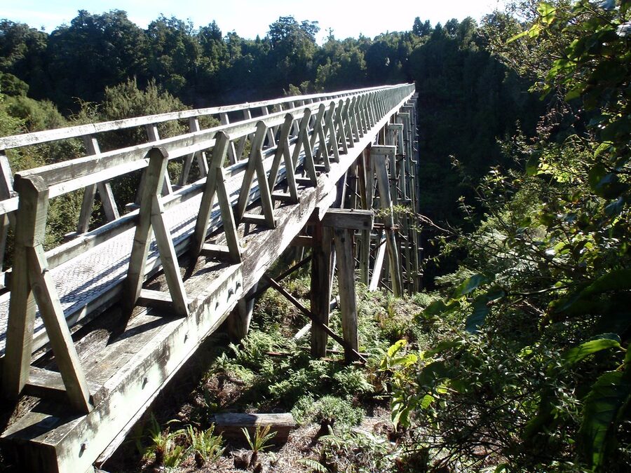 A closer look at the Percy Burn Viaduct's timber trestle