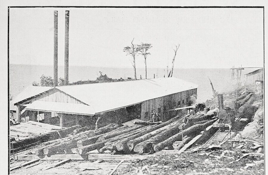 Port Craig sawmill, 1921