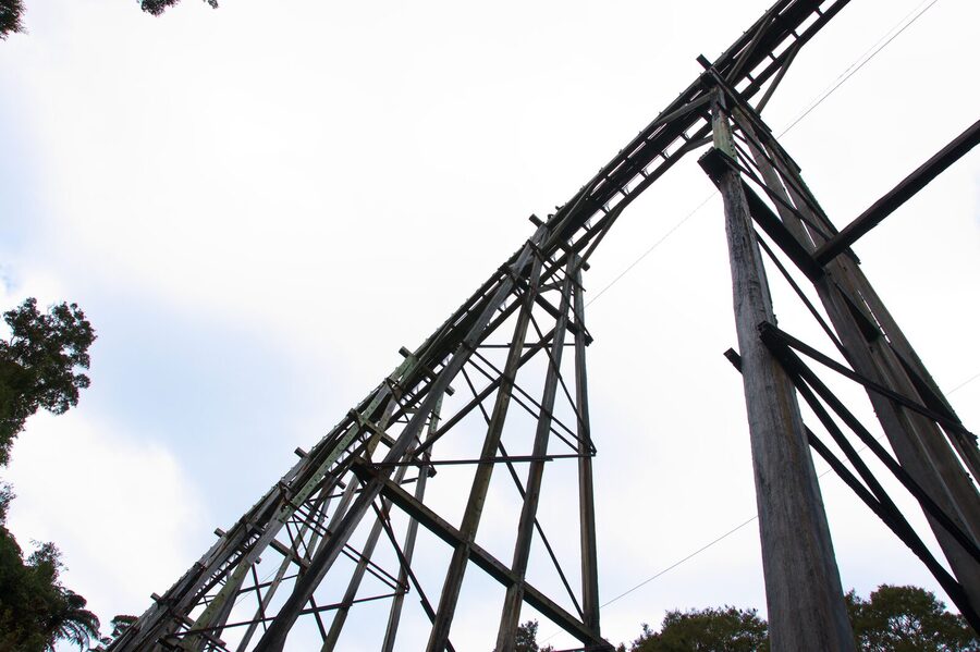 Timber trusses of Percy Burn Viaduct