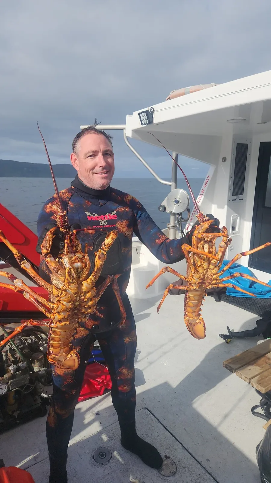Crayfish diving