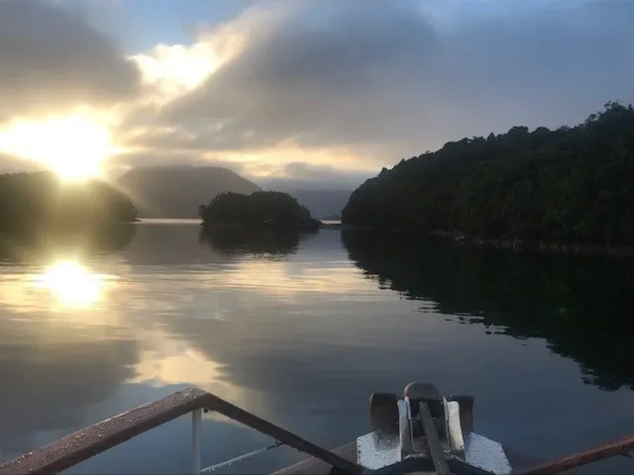 Misty morning departure