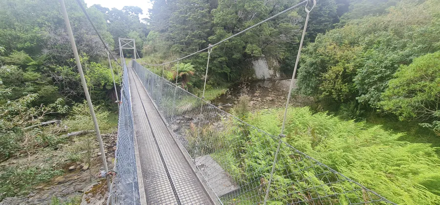 Stepping onto a swingbridge in the forest