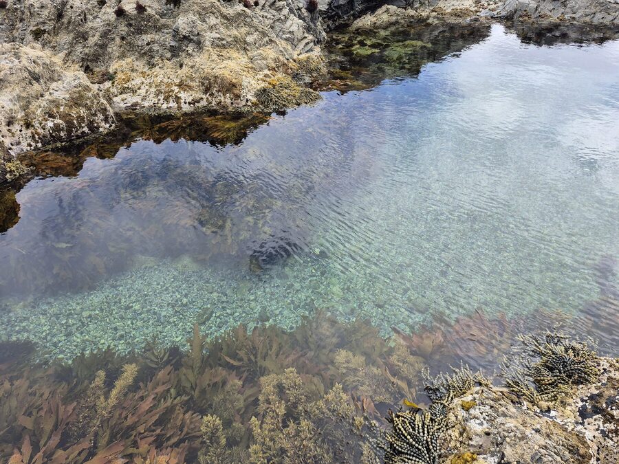 A clear tidepool near the hut