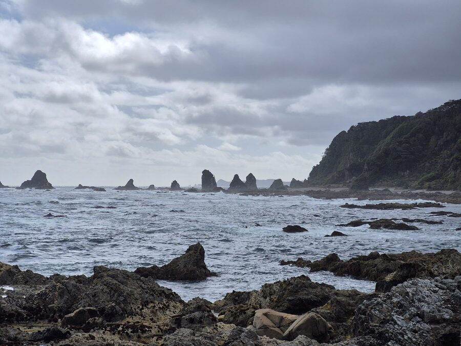 Sea stacks along the coast near Prices Harbour