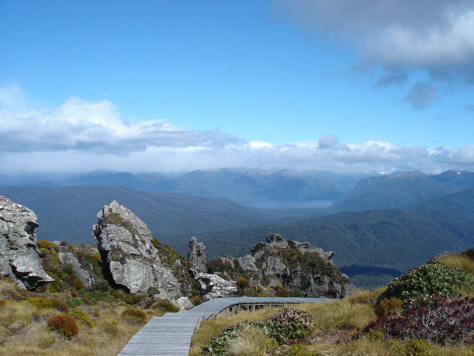 Boardwalk winding between granite tors on the Hump Ridge Track