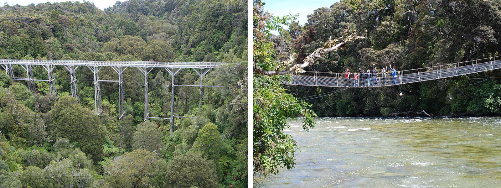 A viaduct on the old Port Craig tramway, alongside trampers crossing the Wairaurahiri Swingbridge