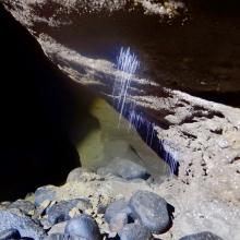 Clifden Glow Worms