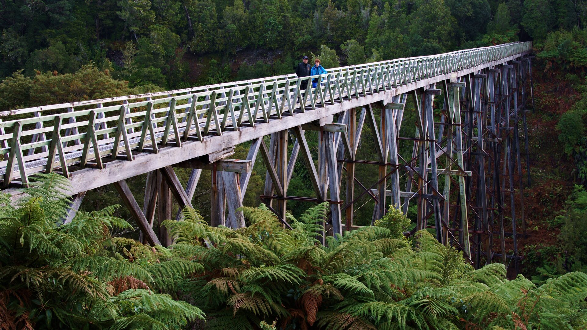 Percy Burn Viaduct on the South Coast Track